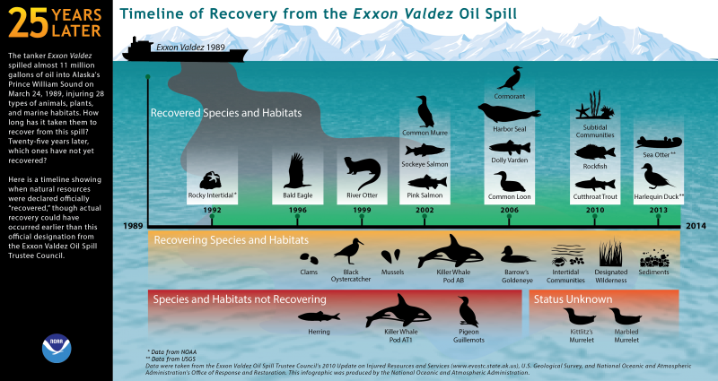 infographic of Exxon Valdez habitat recovery