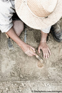 Paleontologist working in the field