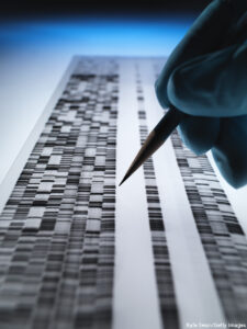 DNA sequencing gel used in genetics.