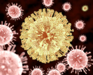 Zika virus: AuntSpray/Shutterstock