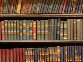 hardcover books lined up on bookshelves