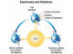 Equinoxes and Solstices