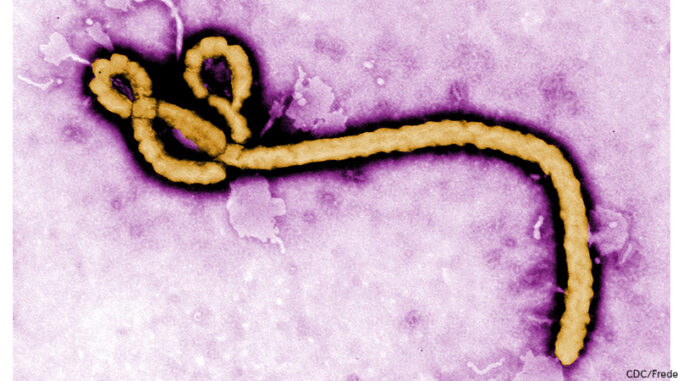 101014_01P_FS Ebola Virus