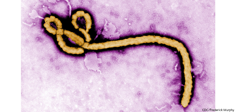 Ebola: What It Is and Is Not