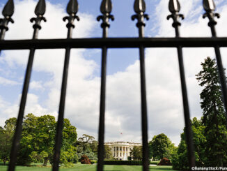White House in Washington, District of Columbia, USA.