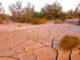 Dried Mud, Imperial Valley, CA. Photo: Nature Picture Library/Alamy.
