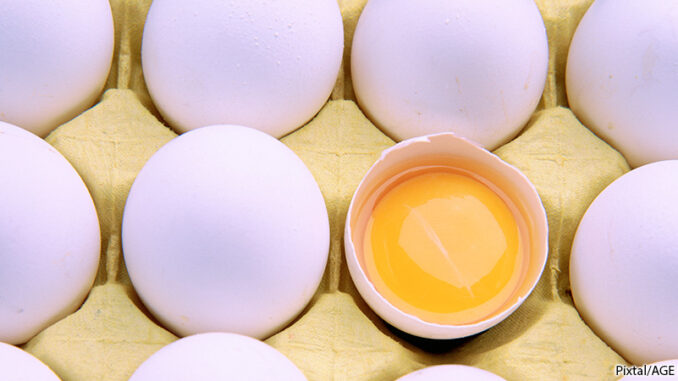 CD099008 Full-frame close-up of white eggs in a cardboard tray, one eggshell broken open and showing the yolk. Pixtal/AGE Fotostock. MHE World. Pixtal.