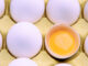 Full-frame close-up of white eggs in a cardboard tray, one eggshell broken open and showing the yolk. Pixtal/AGE Fotostock. MHE World. Pixtal.