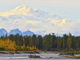 The peak of Denali, also known as Mount McKinley, remains snow covered even at the very end of the short warm season, Alaska, USA. Bob Gobeille/WeatherVideoHD.TV. "Vendor: WeatherVideoHD.TV Business Unit Rights: MHE World Distribution Rights: World Adaptation Rights: Yes