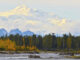 The peak of Denali, also known as Mount McKinley, remains snow covered even at the very end of the short warm season, Alaska, USA. Bob Gobeille/WeatherVideoHD.TV. "Vendor: WeatherVideoHD.TV Business Unit Rights: MHE World Distribution Rights: World Adaptation Rights: Yes