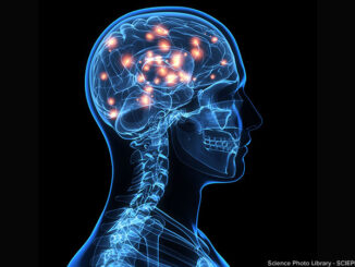 Brain activity, artwork. Science Photo Library - SCIEPRO/Brand X Pictures/Getty Images. MHE Canada;MHE USA.