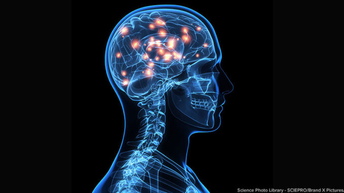 140892148 Brain activity, artwork. Science Photo Library - SCIEPRO/Brand X Pictures/Getty Images. MHE Canada;MHE USA.