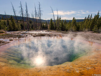 Morning Glory Pool hot spring in Upper Geyser Basin of Yellowstone National Park in United States. © Patrick Leitz/Getty Images/Flickr RF. MHE Canada;MHE USA.