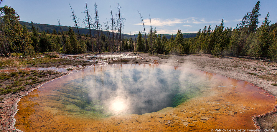 Happy 100, National Parks!