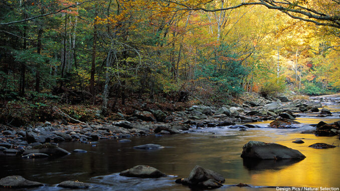 092816_01P_FS River Flowing Over Rocks, Greenbrier Area, Great Smoky Mountains National Park, Tennessee, USA. Design Pics / Natural Selection Robert Cable. MHE World