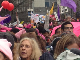 Washington, D.C. protest crowd