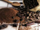 Sack of cocoa and chocolate. Iconotec/Glowimages