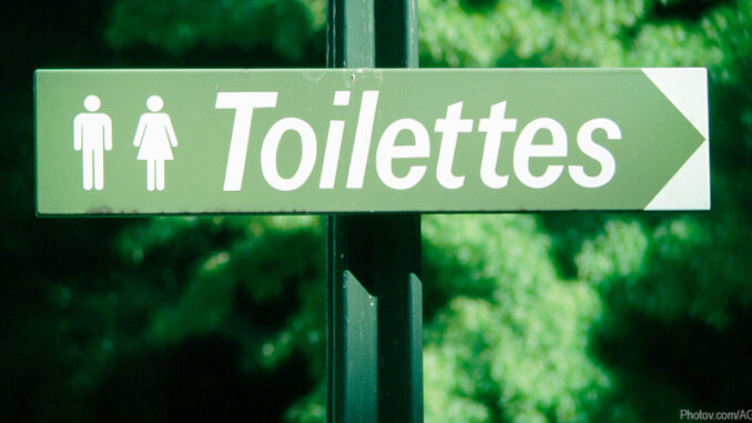 020816_02P_FS Toilets. Photov.com/AGE Fotostock. MHE World