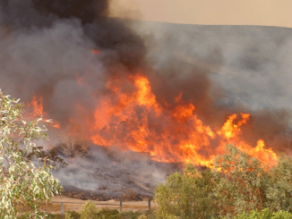 California Wildfire approaching Homes