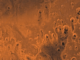 Mars digital-image mosaic