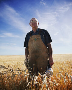 an older male farmer standing in a wheat field