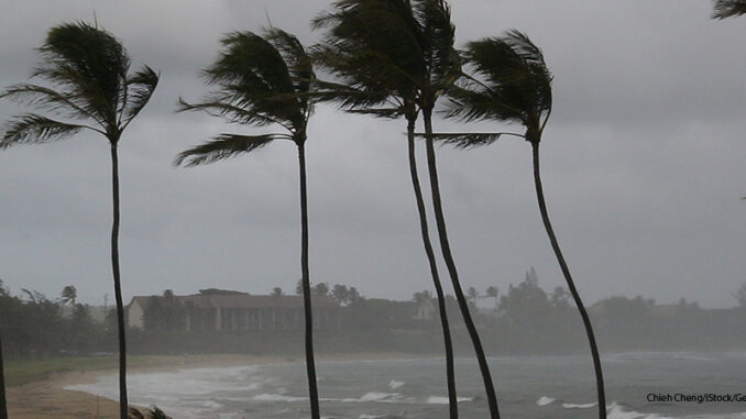 082718_03P_FS Hurricane Palms