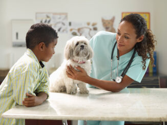 Dog at the Veterinarian