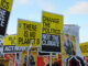 Climate protest signs