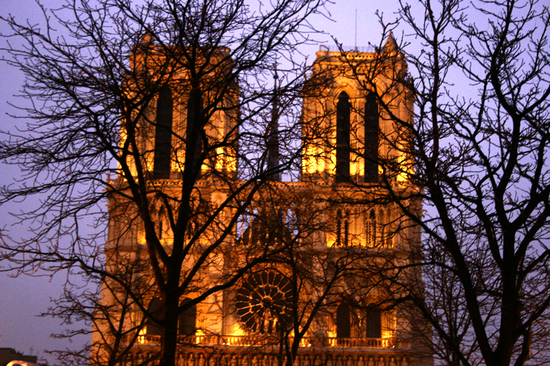 YOU DECIDE: Who Should Pay to Fix Notre Dame?