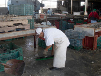 Mexico processing plant