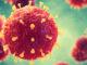 Pathogenic viruses causing infection in host organism , Viral disease outbreak , 3d illustration;