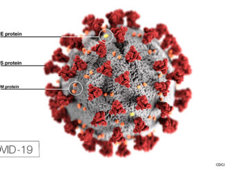 This illustration, created at the Centers for Disease Control and Prevention (CDC), shows the COVID-19 virus.