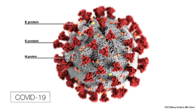 COVID-19 illustration This illustration, created at the Centers for Disease Control and Prevention (CDC), shows the COVID-19 virus.