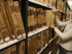 female librarian selecting an old manuscript