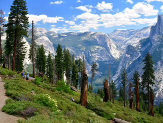 Yosemite National Park/ climbing half dome on a sunny day