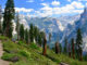 Yosemite National Park/ climbing half dome on a sunny day
