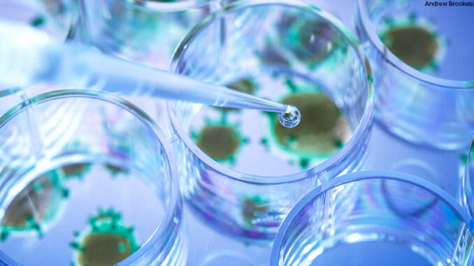 Scientist pipetting a experimental vaccine into a multi well plate with the virus in the background. Scientist pipetting a experimental vaccine into a multi well plate with the virus in the background.