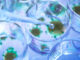Scientist pipetting a experimental vaccine into a multi well plate with the virus in the background.