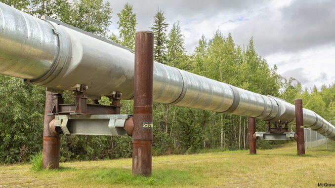 The Alyeska Trans-Alaskan Pipeline System running through a forest near Fox, Alaska oil pipeline running through Alaska