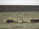 US-Mexico border wall