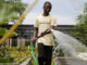 watering vegetable beds at the Windy City Harvest Youth Farm