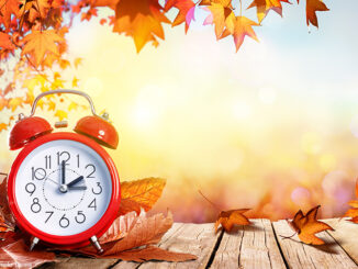 alarm clock on autumnal background