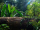 062821_03P_FS