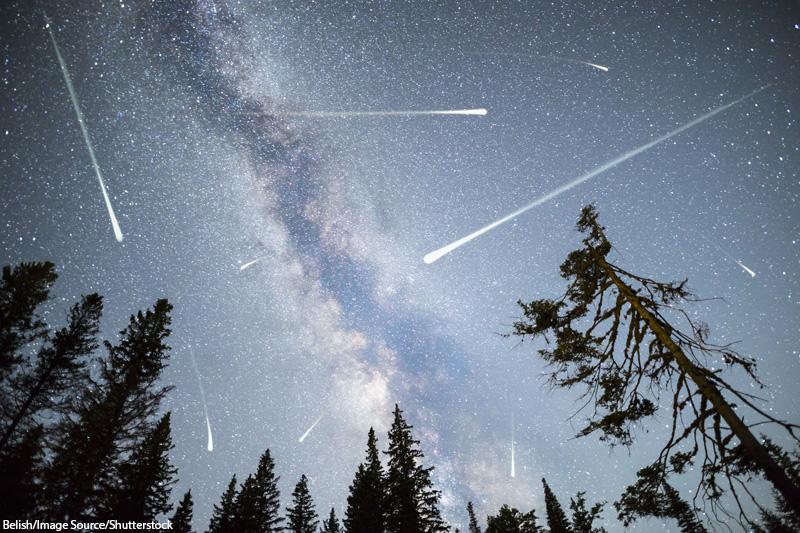 view of a Meteor Shower and the Milky Way with a pine trees forest silhouette in the foreground