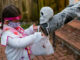 girl in doctor costume socially distant trick or treating candy chute