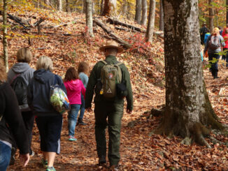 A park ranger leads a group of people in a forest walk.