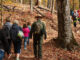 A park ranger leads a group of people in a forest walk.