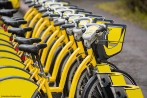 Row of rental bikes