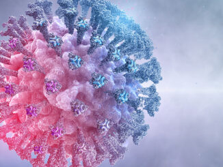 image of Coronavirus covid-19 Omicron variant