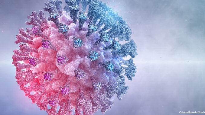 image of Coronavirus covid-19 Omicron variant